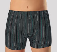 Andrie PS 5253 A -Dark Grey w/ Blue and White Pinstripes, size L - Boxer Briefs