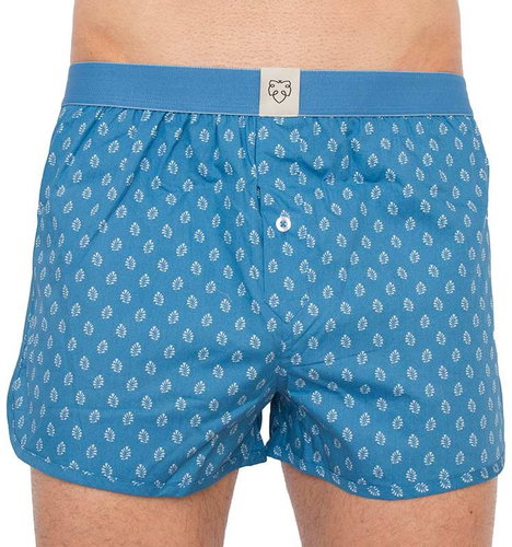 A-dam FAAS - Leaves, Blue, XXL - Boxer Shorts - Main image