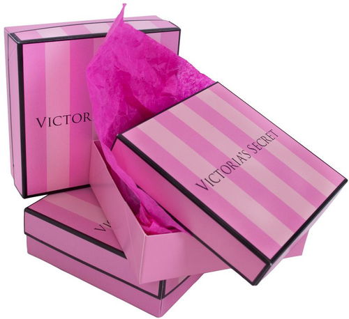 Victorias Secret Gift Bag and Box | 3D model