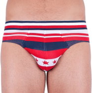 Tommy Hilfiger UM0UM01396 611, Multicoloured, S - Briefs