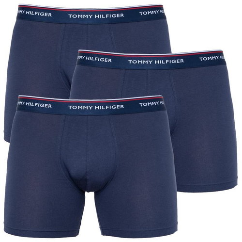 Tommy Hilfiger 3-Pack UM0UM00010 409, Blue size S - Boxer Briefs - Main image