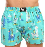 Represent R1M-BOX-0676 - Llama size. L - Boxer Shorts