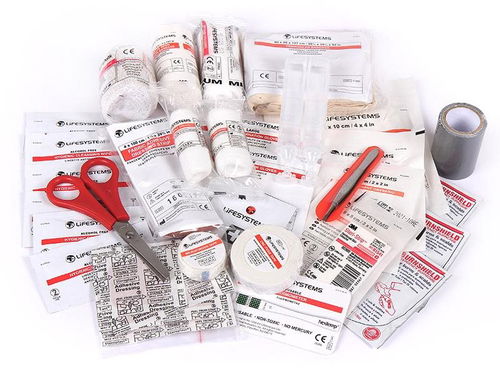 Lifesystems Camping First Aid Kit