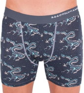 69SLAM MPBDGN-BB - dragons - Boxer Briefs