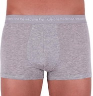 Calvin Klein NB1860A-080 - Boxer Briefs