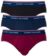 Tommy Hilfiger 3Pack 1U87903766 096, multicolour size L - Briefs