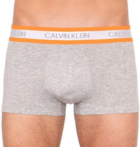 Calvin Klein NB2124A-080, gray size L - Boxer Briefs - Main image