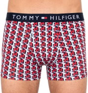 Tommy Hilfiger UM0UM01508 kennel, multicolour size S - Boxer Briefs