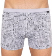 Andrie PS 5297c, gray size L - Boxer Briefs