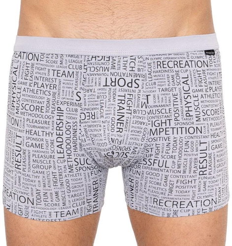 Andrie PS 5297c, gray size L - Boxer Briefs - Main image