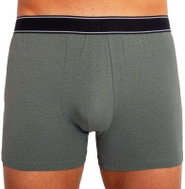 Andrie PS 5284 B, green size L - Boxer Briefs