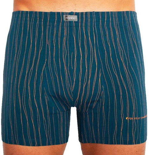 Andrie PS 5285 A, green size 3XL - Boxer Briefs - Main image