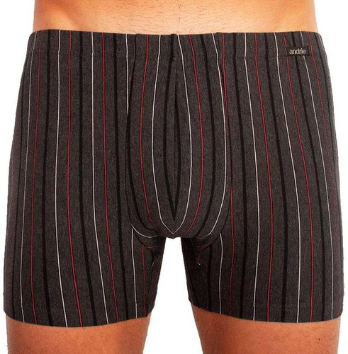 Andrie PS 5253 B, gray size 3XL - Boxer Briefs - Main image