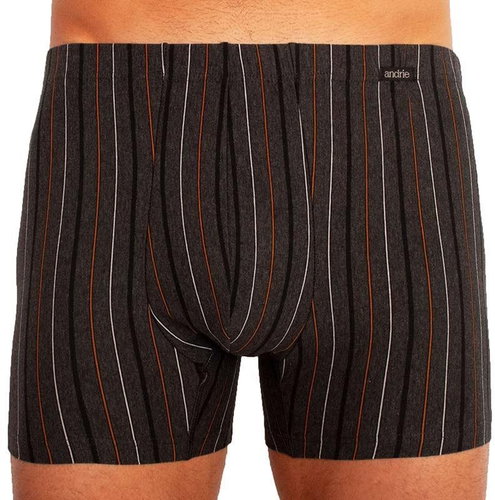 Andrie PS 5253 C, gray size 3XL - Boxer Briefs - Main image