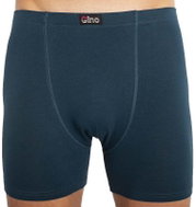 Gino 74086ey, green size L - Boxer Briefs