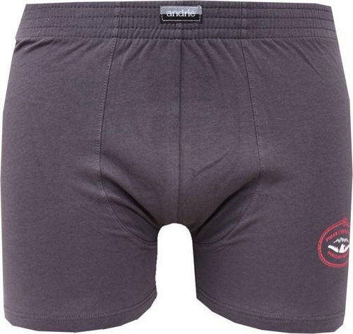 Andrie PS 5279 B, gray size M - Boxer Briefs - Main image