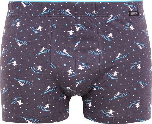 Andrie PS 5520 B - skiers, gray size L - Boxer Briefs - Main image