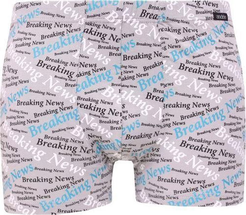 Andrie PS 5353 A inscriptions, gray size L - Boxer Briefs - Main image