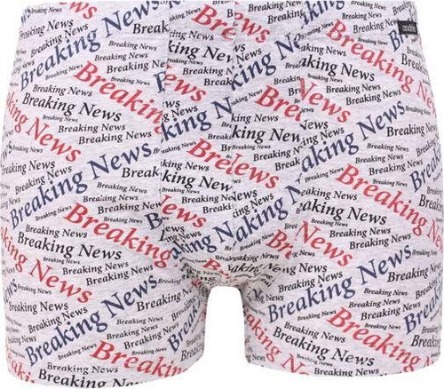 Andrie PS 5353 By, gray size M - Boxer Briefs - Main image