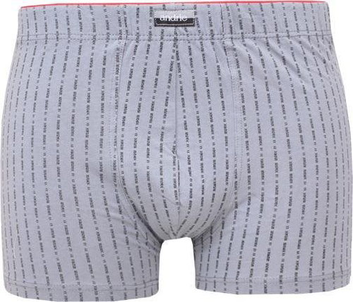 Andrie PS 5432 B, gray size L - Boxer Briefs - Main image