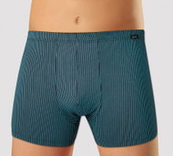 Andrie PS 5541 B, gray size 3XL - Boxer Briefs