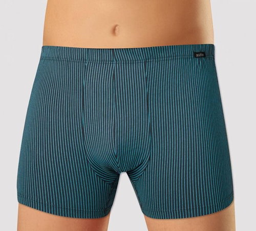 Andrie PS 5541 B, gray size 4XL - Boxer Briefs - Main image