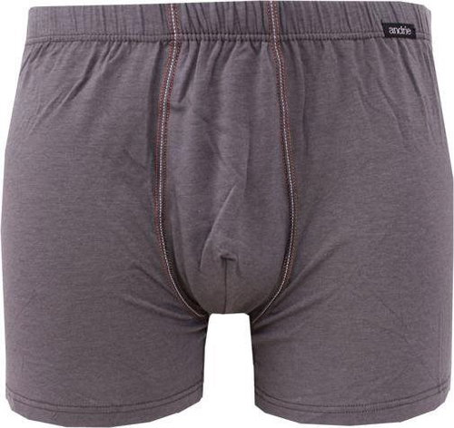 Andrie PS 5287 B, gray size XXL - Boxer Briefs - Main image