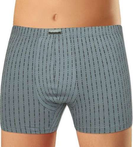 Andrie PS 5431 C, gray size 3XL - Boxer Briefs - Main image