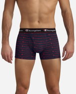 Champion Y08QX-9NB - Boxer Briefs