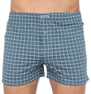 Andrie PS 5234d, green size L - Boxer Shorts