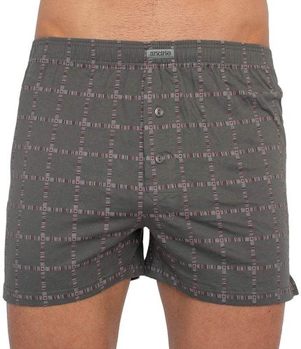 Andrie PS 5307 D, gray size M - Boxer Shorts - Main image