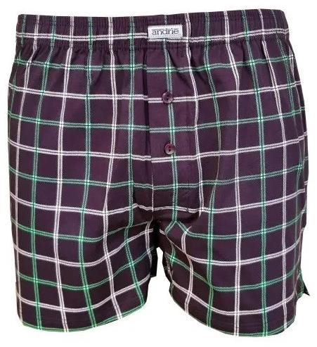 Andrie PS 5393 A, blue size L - Boxer Shorts - Main image