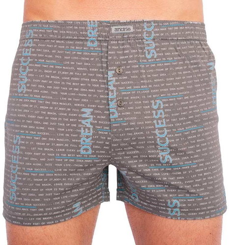 Andrie PS 5457 D, gray size 3XL - Boxer Shorts - Main image