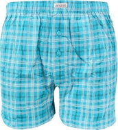 Andrie PS 5394 B, green size M - Boxer Shorts