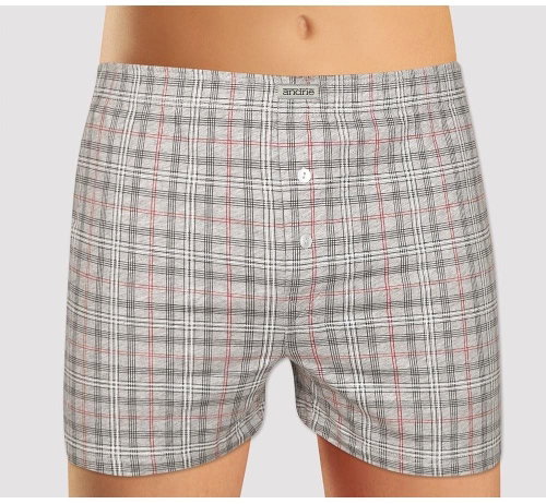 Andrie PS 5394 C, gray size XL - Boxer Shorts - Main image