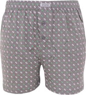 Andrie PS 5477 C, gray size XXL - Boxer Shorts