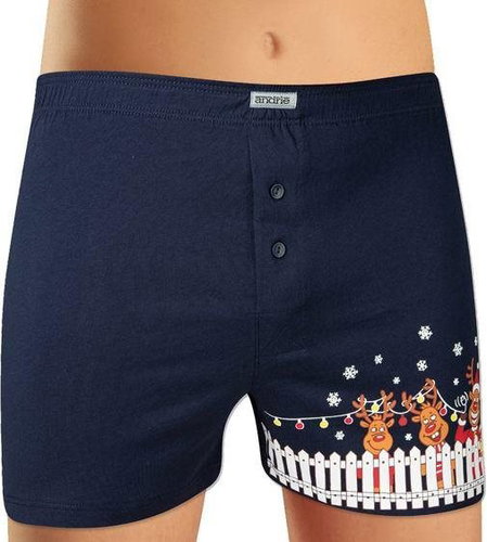 Andrie PS 5513 A, blue size 3XL - Boxer Shorts - Main image