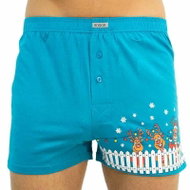 Andrie PS 5513 C, green size XXL - Boxer Shorts