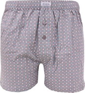 Andrie PS 5411 C, gray size XXL - Boxer Shorts