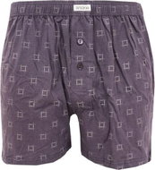Andrie PS 5413 C, gray size L - Boxer Shorts