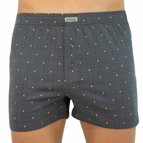Andrie PS 5401 C, gray size L - Boxer Shorts - Main image