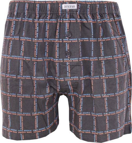 Andrie PS 5461 C, gray size XXL - Boxer Shorts - Main image