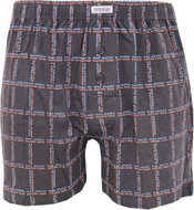 Andrie PS 5461 C, gray size M - Boxer Shorts