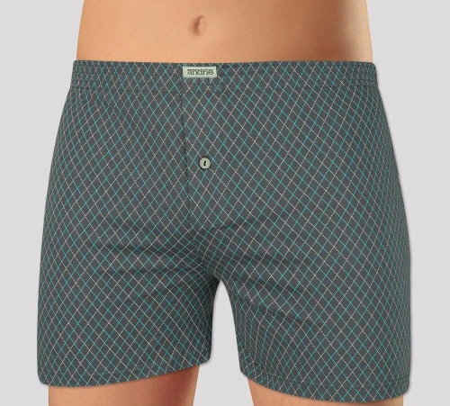 Andrie PS 5459 A, gray size XL - Boxer Shorts - Main image