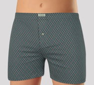 Andrie PS 5459 A, gray size 3XL - Boxer Shorts