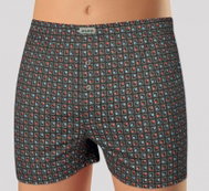 Andrie PS 5386 B, gray size M - Boxer Shorts