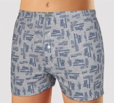 Andrie PS 5348 B, gray size 3XL - Boxer Shorts - Main image
