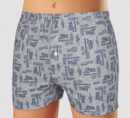 Andrie PS 5348 B, gray size M - Boxer Shorts