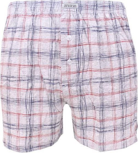 Andrie PS 5349 A, gray size XL - Boxer Shorts - Main image