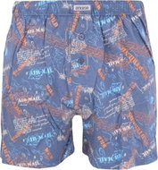 Andrie PS 4910 C, Green, size XXL - Boxer Shorts